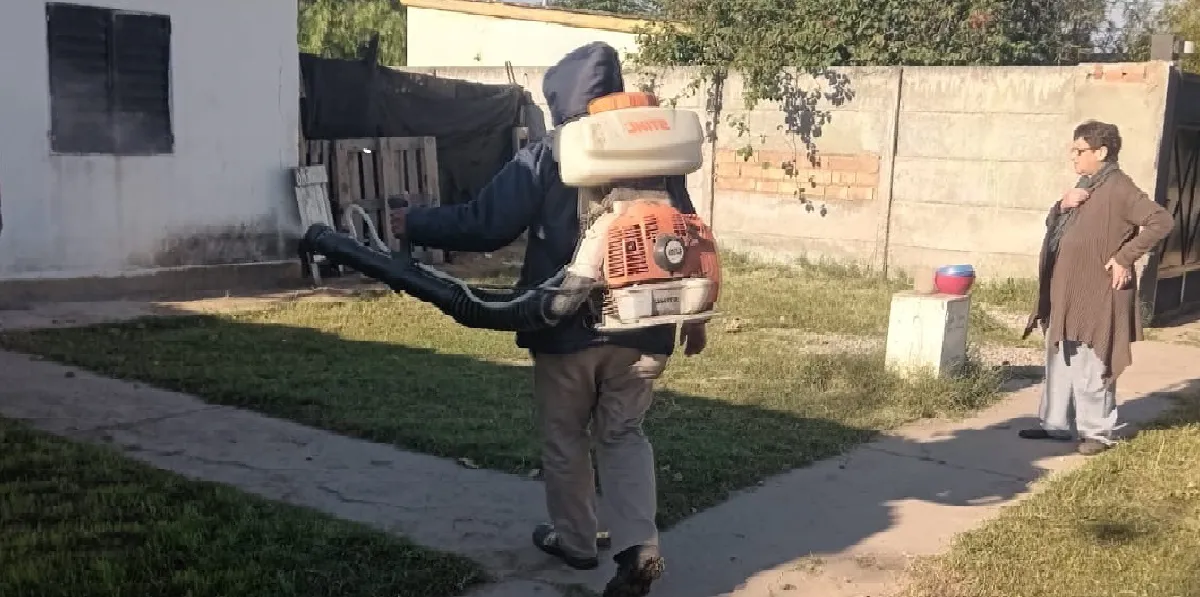 fumigación contra mosquitos