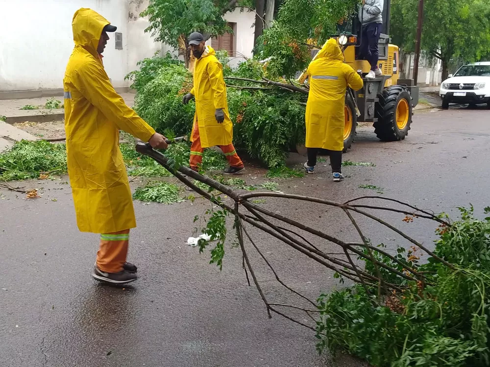 tareas por la tormenta domingo
