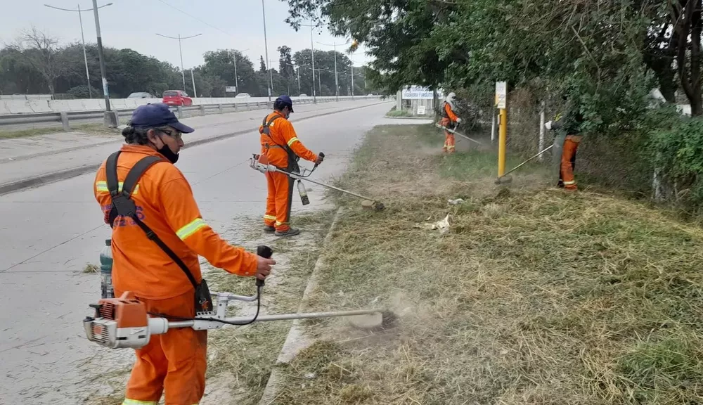 costanera desmalezado