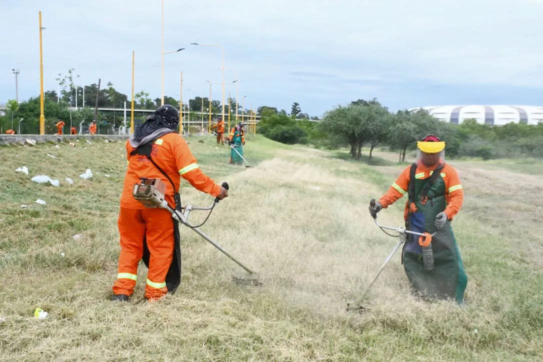 desmalezamiento estadio