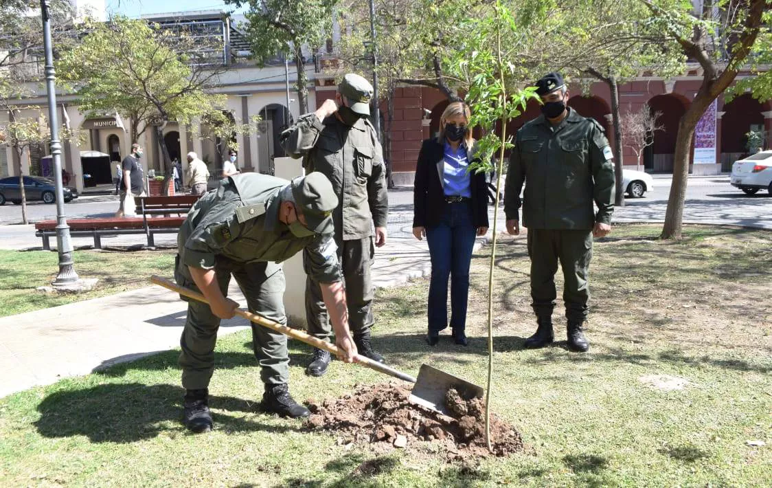 fuentes gendarmeria plantacio