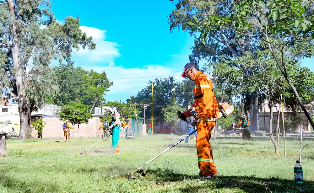 parques desmalezado