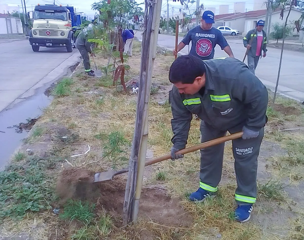CONSERVACION DE ARBOLES