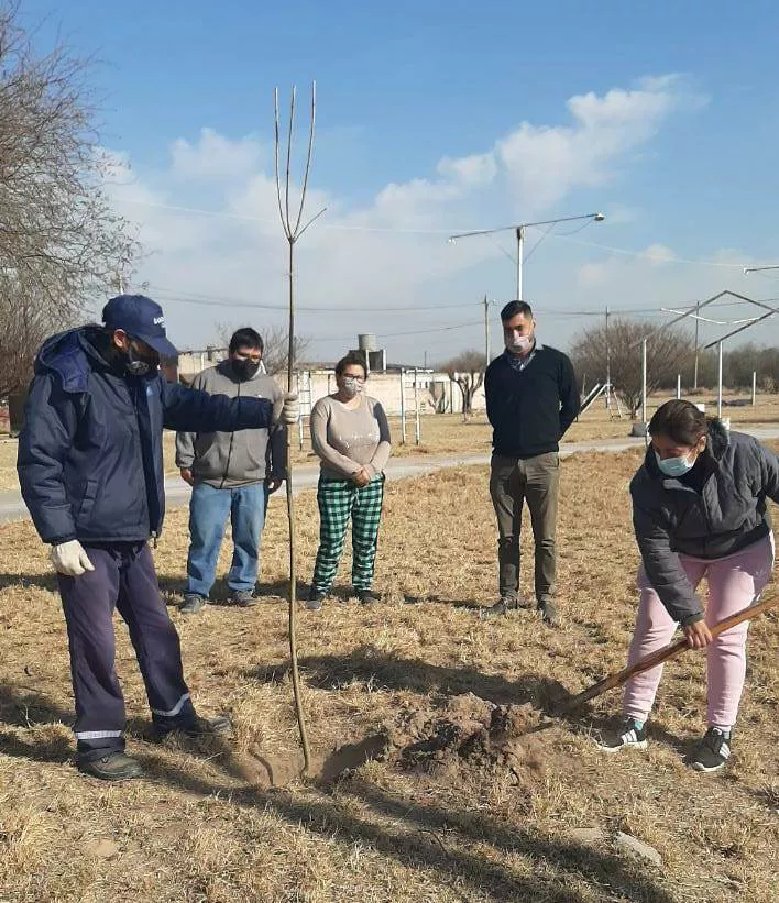 plantacion borges