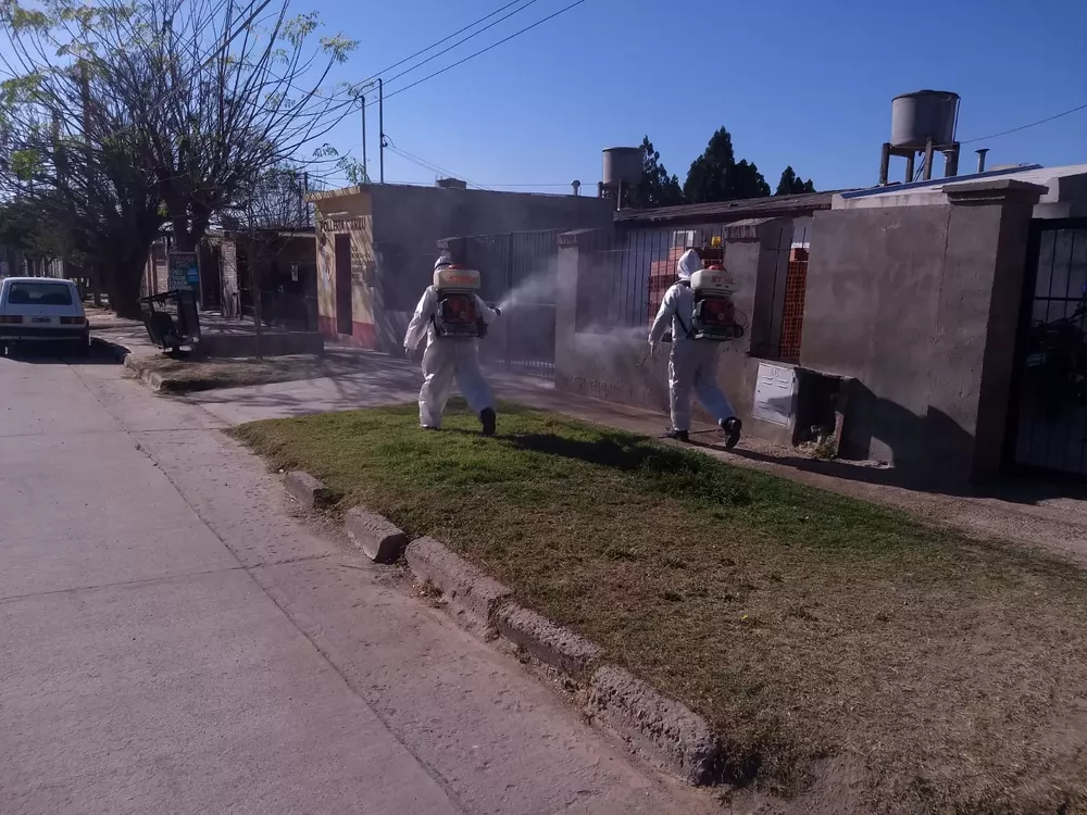 fumiga planficiacion semanal